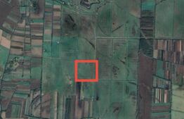 Teren Extravilan 14 HA – Sat Draguseni, Comuna Turulung