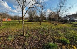 Teren cu o constructie inceputa, 1500 mp, zona Păulești