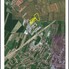 Teren de vânzare Aurel Vlaicu - 168045TV - Poza 1 din 1 | BLITZ Satu Mare | Poza1