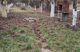 Teren de vanzare, 9000 mp, Zona Aurel Vlaicu