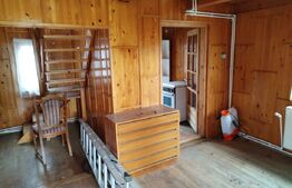 Teren de vanzare, 9000 mp, Zona Aurel Vlaicu