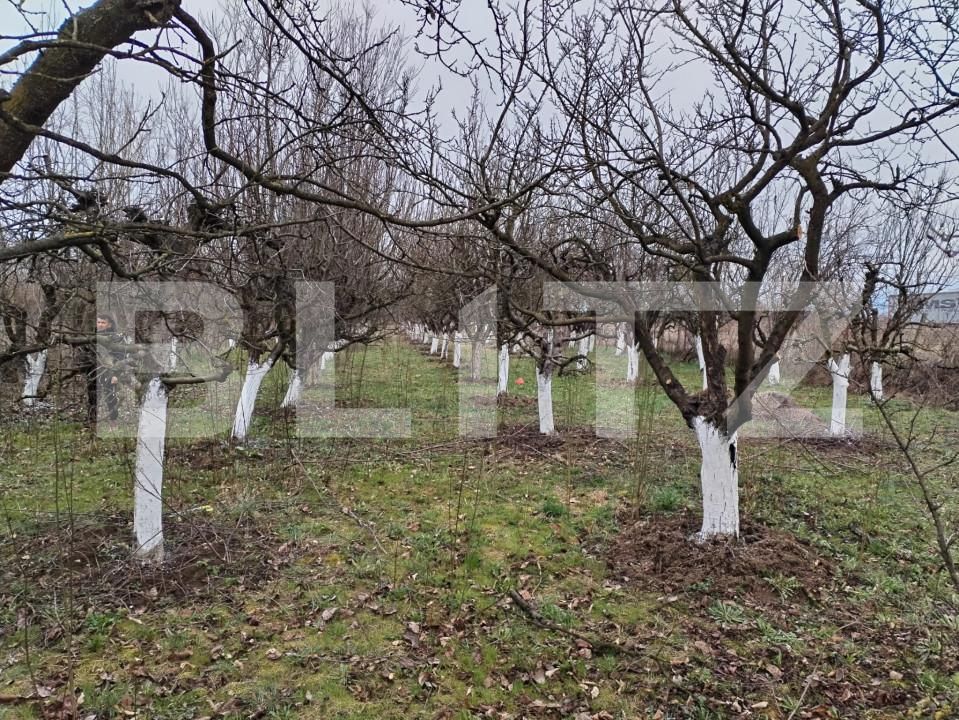 Teren de vânzare Aurel Vlaicu - 168047TV | BLITZ Satu Mare | Poza3