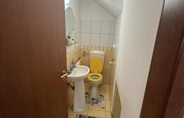 Casa tip D+P+M cu 4 camere, 170 mp utili, 500 mp teren, zona Careiului