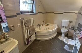 Casa tip D+P+M cu 4 camere, 170 mp utili, 500 mp teren, zona Careiului