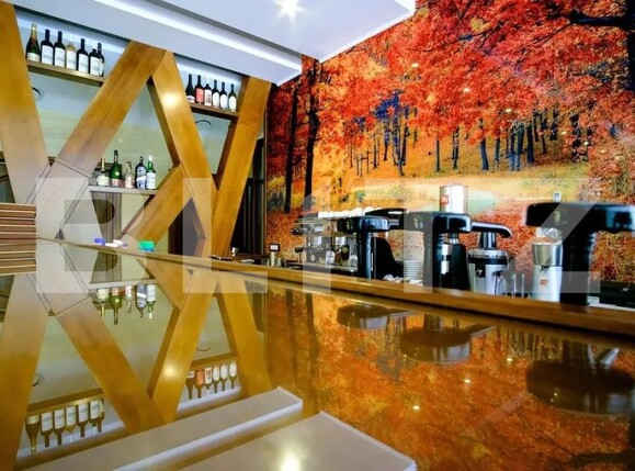 Spațiu comercial de vânzare Exterior Est - 168281SVC | BLITZ Satu Mare | Poza6