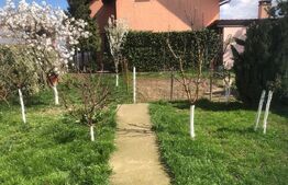 Casa cu 3 camere si anexe, 170 mp, zona Carpati 2
