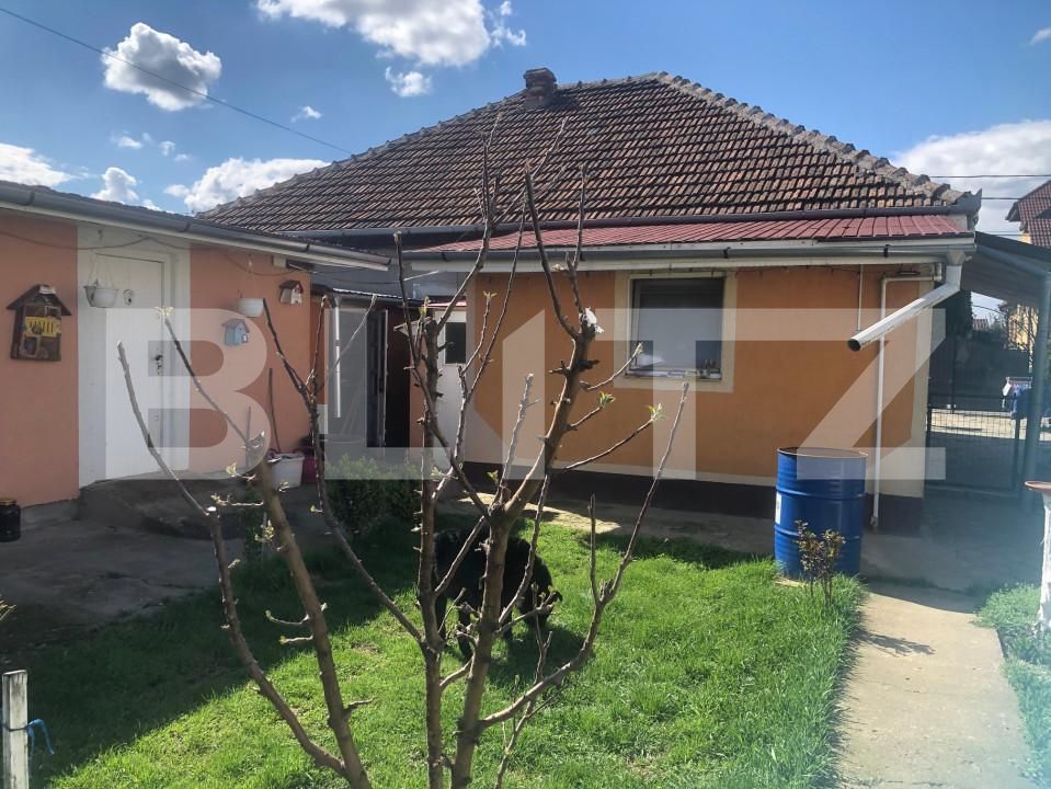 Casa de vânzare 4 camere Carpati 2 - 168344CV | BLITZ Satu Mare | Poza3
