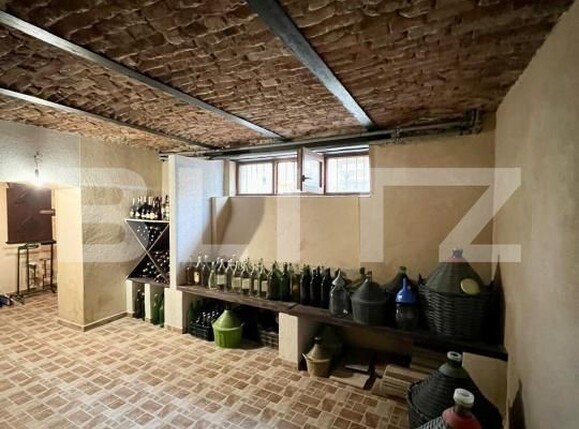 Casa de vânzare 4 camere Central - 168589CV | BLITZ Satu Mare | Poza11