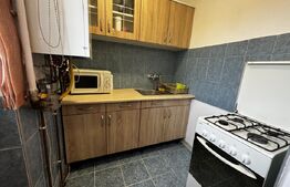 Garsonieră de vânzare, 21 mp, etaj 4, zona Bulevardul Cloșca