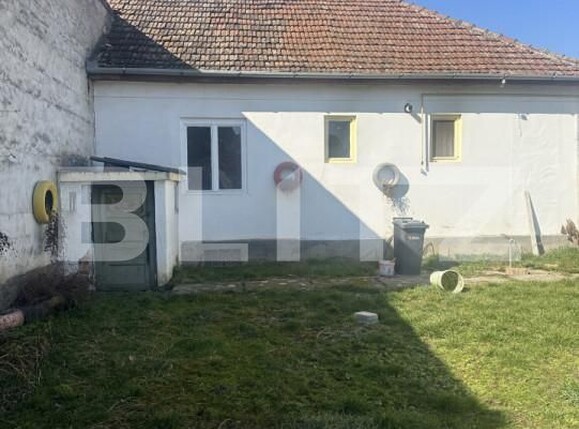 Casa de vânzare 3 camere Semicentral - 168760CV | BLITZ Satu Mare | Poza9