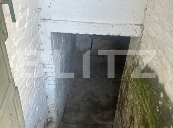 Casa de vânzare 3 camere Semicentral - 168760CV | BLITZ Satu Mare | Poza10