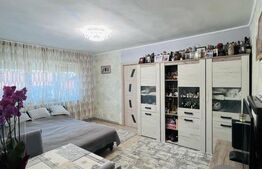 Apartament de vanzare, cu 2 camere, 42 mp, zona 14 Mai