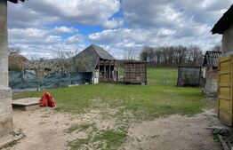 Casa cu 2 camere, 91 mp, teren 3.400 mp, zona comuna Apa