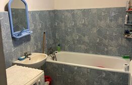 Casa cu 2 camere, 91 mp, teren 3.400 mp, zona comuna Apa