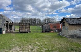 Casa cu 2 camere, 91 mp, teren 3.400 mp, zona comuna Apa