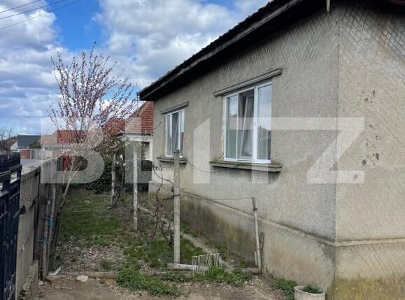 Casa de vânzare 3 camere Exterior Est - 168913CV | BLITZ Satu Mare | Poza12