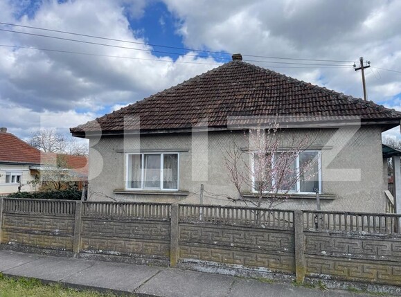 Casa de vânzare 3 camere Exterior Est - 168913CV | BLITZ Satu Mare | Poza11