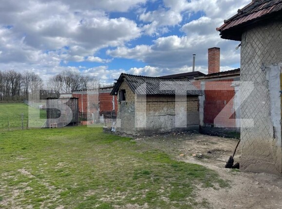 Casa de vânzare 3 camere Exterior Est - 168913CV | BLITZ Satu Mare | Poza15