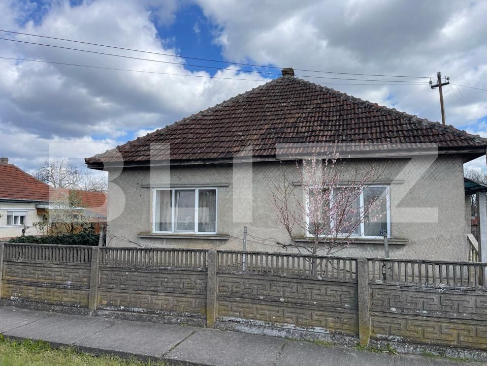 Casa de vânzare 3 camere Exterior Est - 168913CV | BLITZ Satu Mare | Poza11