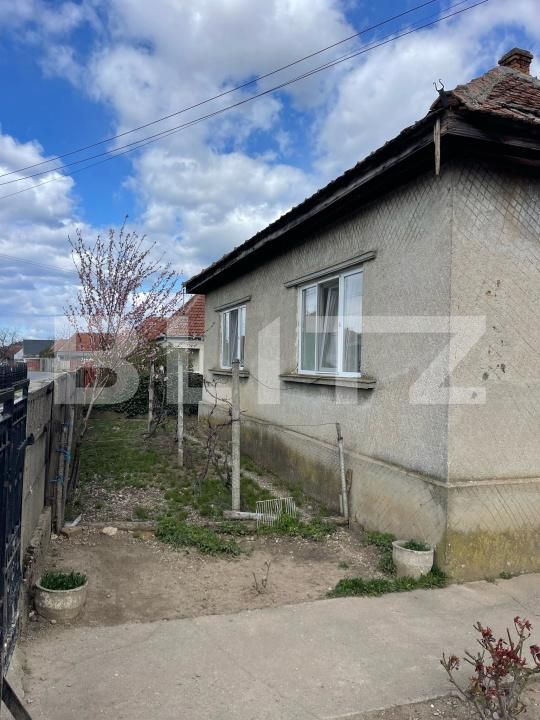 Casa de vânzare 3 camere Exterior Est - 168913CV | BLITZ Satu Mare | Poza12