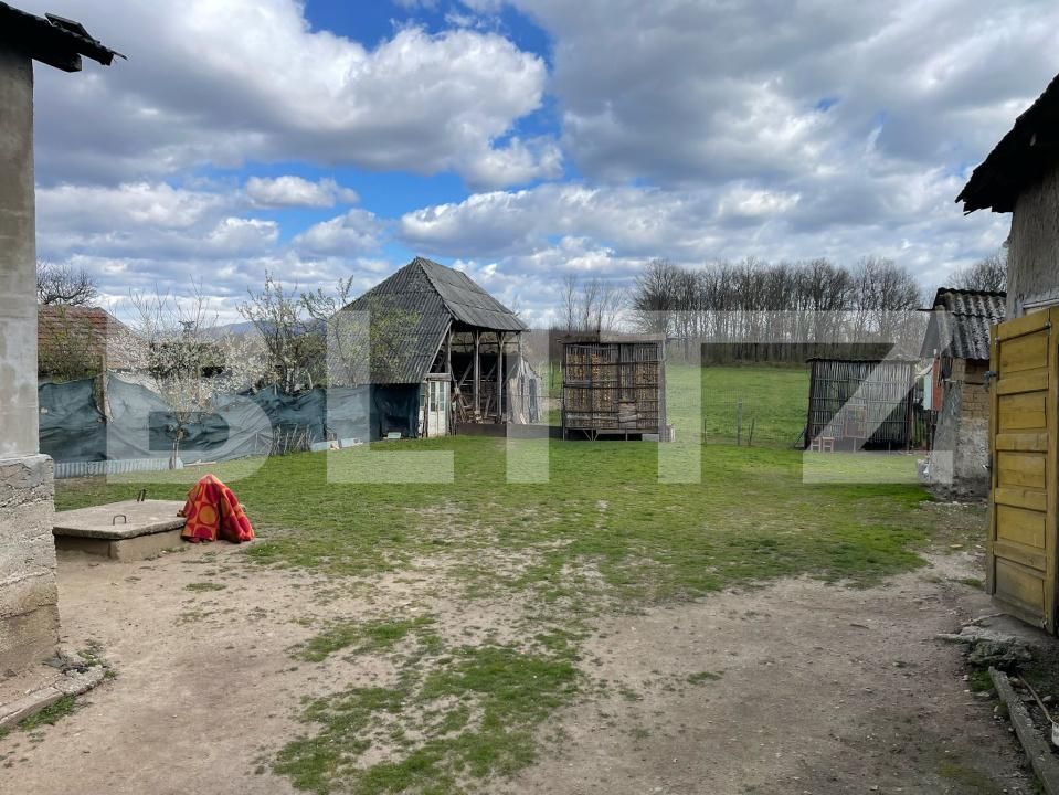 Casa de vânzare 3 camere Exterior Est - 168913CV | BLITZ Satu Mare | Poza14