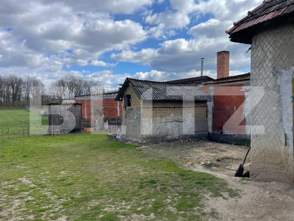 Casa de vânzare 3 camere Exterior Est - 168913CV | BLITZ Satu Mare | Poza15