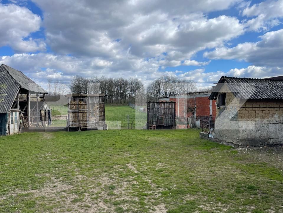 Casa de vânzare 3 camere Exterior Est - 168913CV | BLITZ Satu Mare | Poza13