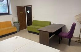 Vanzare spatiu comercial, 100 mp utili, Zona Titulescu