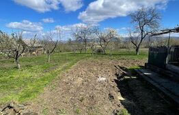 Casa cu 3 camere, 90 mp, 2 anexe gospodaresti si teren de 3000 mp, zona Crucisor