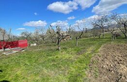 Casa cu 3 camere, 90 mp, 2 anexe gospodaresti si teren de 3000 mp, zona Crucisor