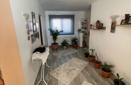 Casa cu 3 camere, 90 mp, 2 anexe gospodaresti si teren de 3000 mp, zona Crucisor