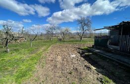 Casa cu 3 camere, 90 mp, 2 anexe gospodaresti si teren de 3000 mp, zona Crucisor