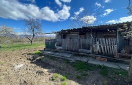 Casa cu 3 camere, 90 mp, 2 anexe gospodaresti si teren de 3000 mp, zona Crucisor