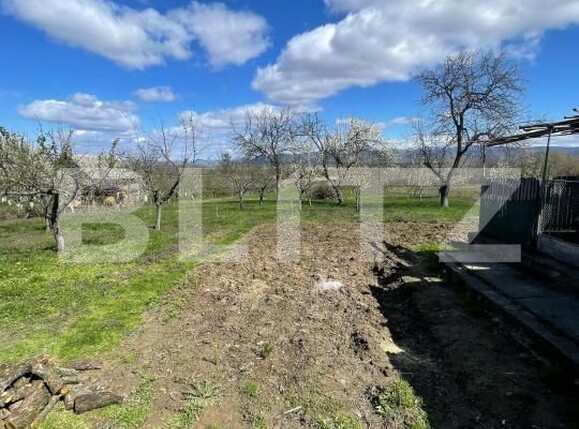 Casa de vânzare 3 camere Crucisor - 168926CV | BLITZ Satu Mare | Poza11