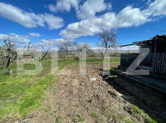 Casa de vânzare 3 camere Crucisor - 168926CV | BLITZ Satu Mare | Poza16