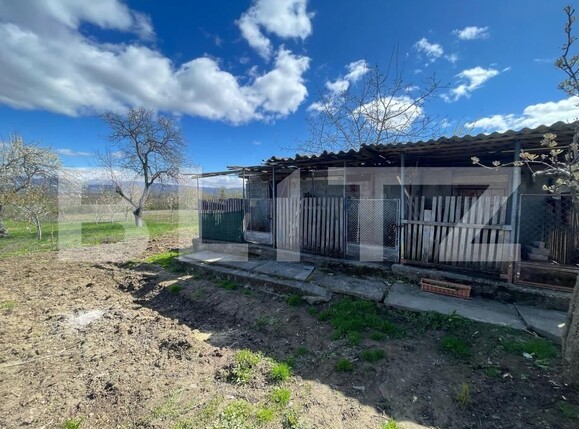 Casa de vânzare 3 camere Crucisor - 168926CV | BLITZ Satu Mare | Poza13