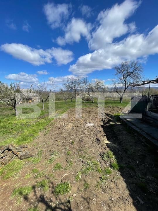 Casa de vânzare 3 camere Crucisor - 168926CV | BLITZ Satu Mare | Poza11