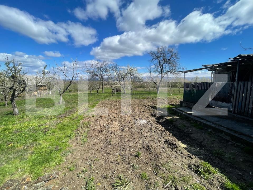 Casa de vânzare 3 camere Crucisor - 168926CV | BLITZ Satu Mare | Poza16