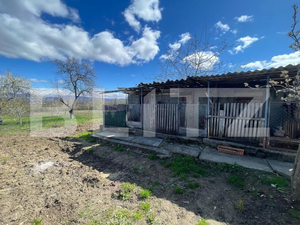 Casa de vânzare 3 camere Crucisor - 168926CV | BLITZ Satu Mare | Poza13