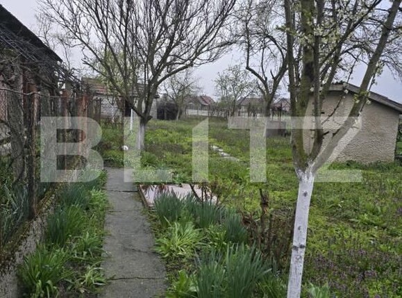 Casa de vânzare 2 camere Sud - 169001CV | BLITZ Satu Mare | Poza10