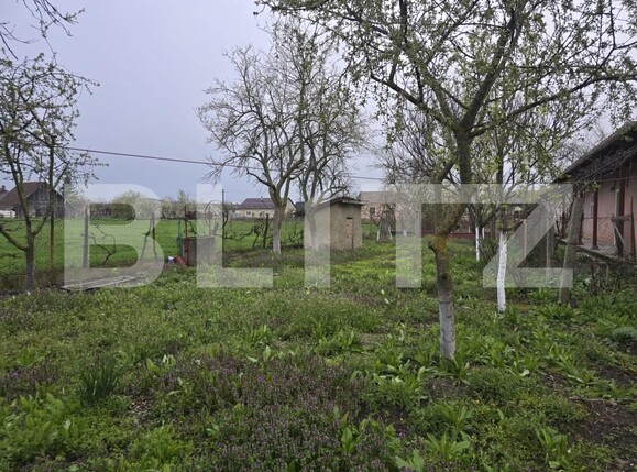 Casa de vânzare 2 camere Sud - 169001CV | BLITZ Satu Mare | Poza11