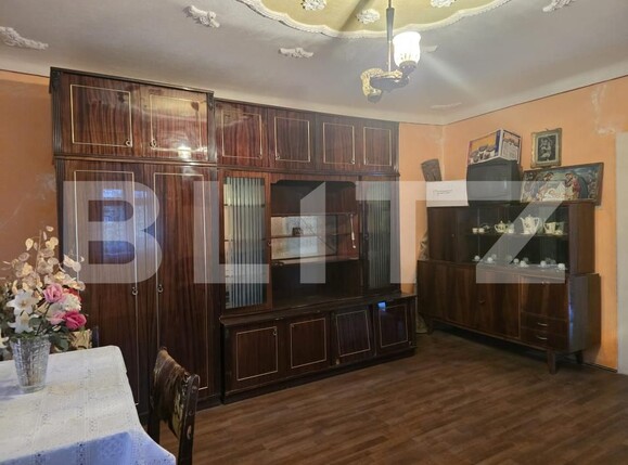 Casa de vânzare 2 camere Sud - 169001CV | BLITZ Satu Mare | Poza2