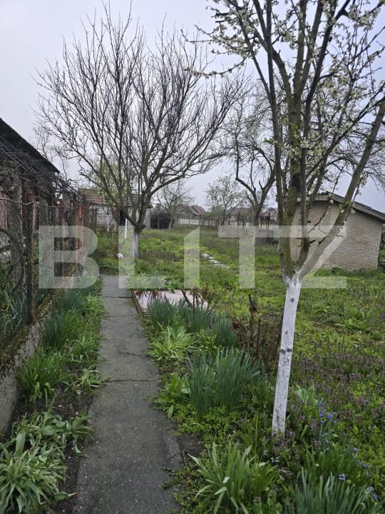 Casa de vânzare 2 camere Sud - 169001CV | BLITZ Satu Mare | Poza10