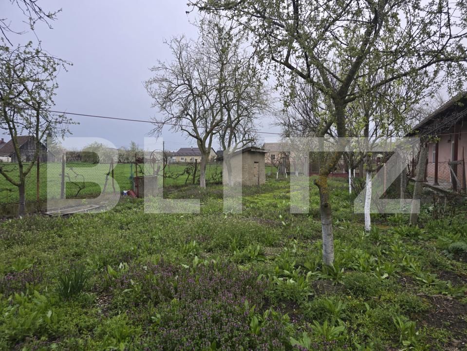 Casa de vânzare 2 camere Sud - 169001CV | BLITZ Satu Mare | Poza11