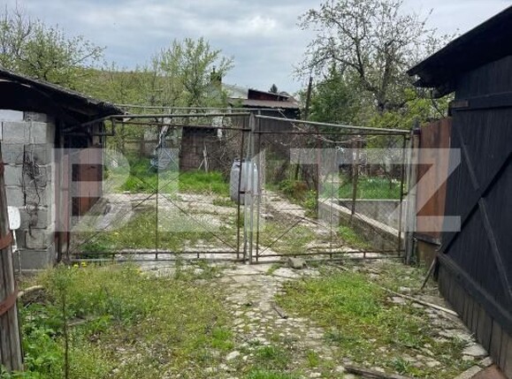 Casa de vânzare 4 camere Nord - 169064CV | BLITZ Satu Mare | Poza3