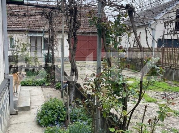 Casa de vânzare 4 camere Nord - 169064CV | BLITZ Satu Mare | Poza19