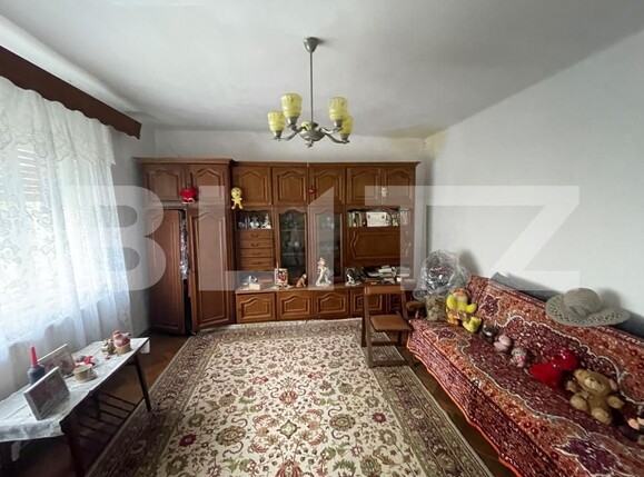 Casa de vânzare 4 camere Nord - 169064CV | BLITZ Satu Mare | Poza7