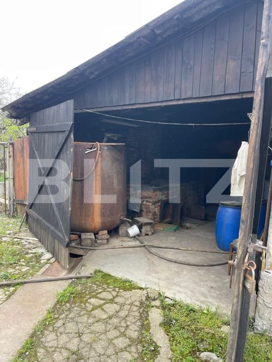 Casa de vânzare 4 camere Nord - 169064CV | BLITZ Satu Mare | Poza17