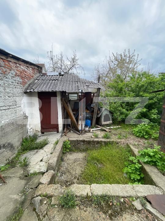 Casa de vânzare 4 camere Nord - 169064CV | BLITZ Satu Mare | Poza7