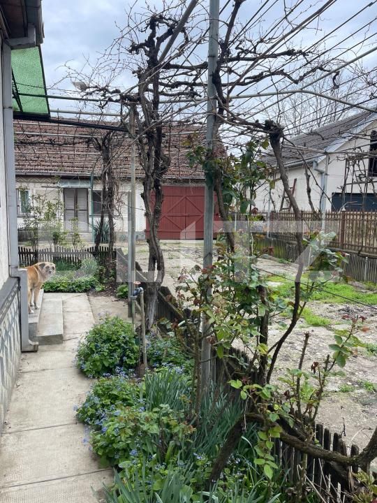 Casa de vânzare 4 camere Nord - 169064CV | BLITZ Satu Mare | Poza6